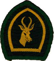 springbok
