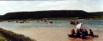 A view of some of the competing rafts during the race.