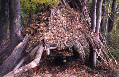 exellent example of shelter 
built during our survival campout