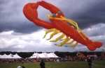 a lobster