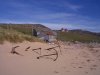 fishing huts