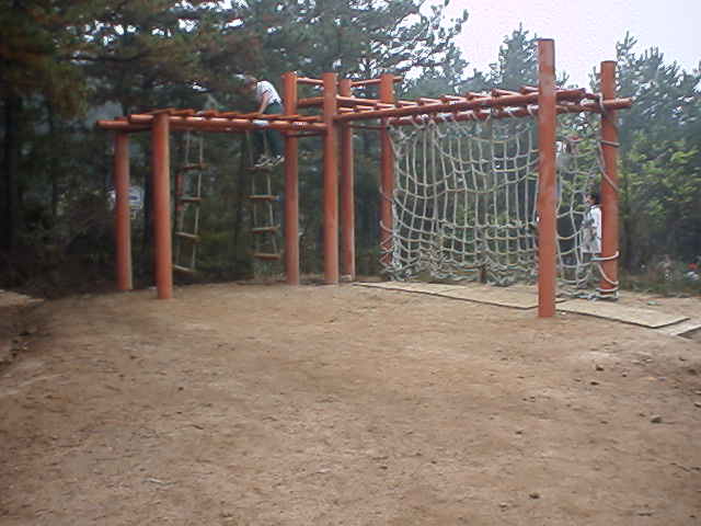 Climbing a rope ladder