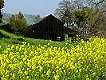 Old barn, Bernal-Gulnac-Joice Ranch, Santa Teresa Park