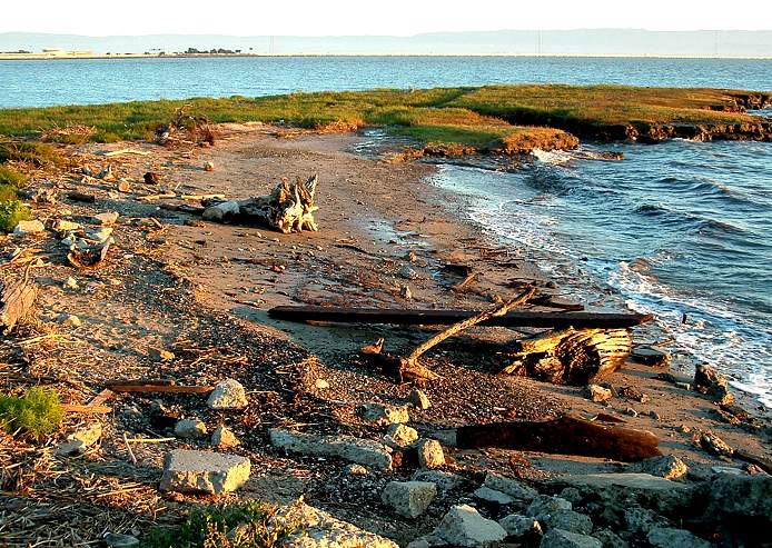 Hayward Shoreline