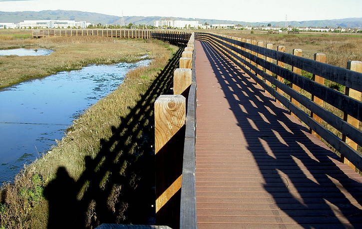 LaRiviere Marsh Walkway
