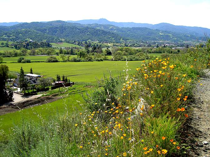 Stile Ranch Trail
