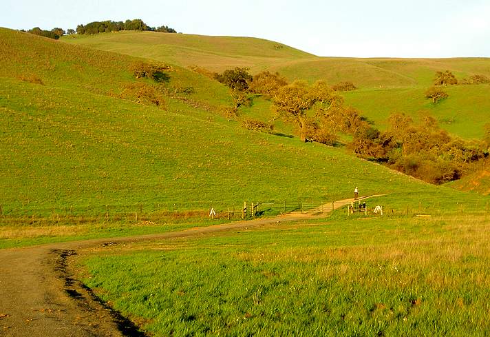 Willow Springs Trailhead