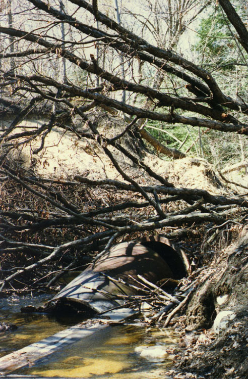 Barber Creek before the bridge