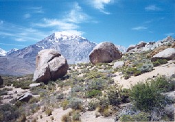 The Buttermilks