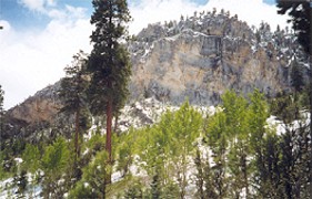 Mt. Charelston