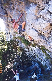Bear Craggin'