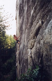 Petrifying Wall