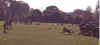 ohJimE.jpg (22774 bytes)