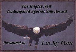 Free Flight Award
