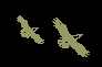 Two Eagles