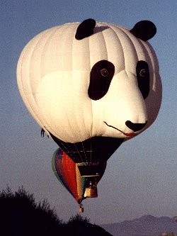 This balloon bears all!