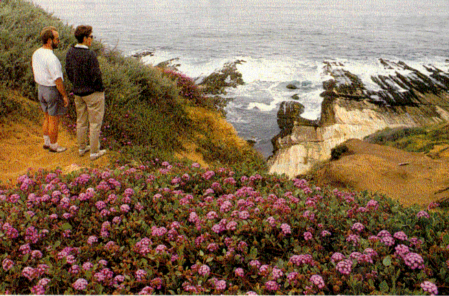 The Bluff Trail