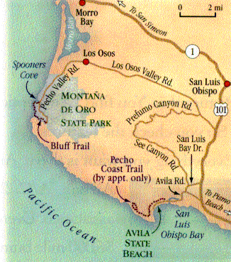 Bluff Map