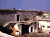 arapkantara.gif (177644 bytes)