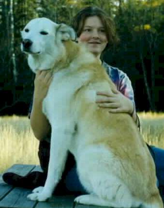 sparky.jpg (16111 bytes)