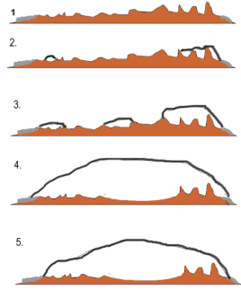 icecap scheme