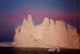 pinkbergk.jpg - 6750 Bytes