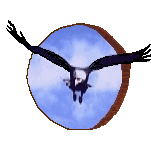 Yosemite Soaring Eagle Award {WebRing}