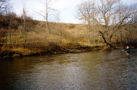 robspey3.jpg 53Kb