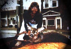 Rays Deer