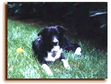 Emma with a ball.