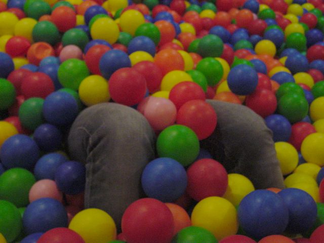 Bild
