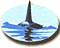 Whale ....................................:}