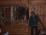 Pelts