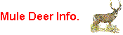 1998 Mule Deer Hunting Information