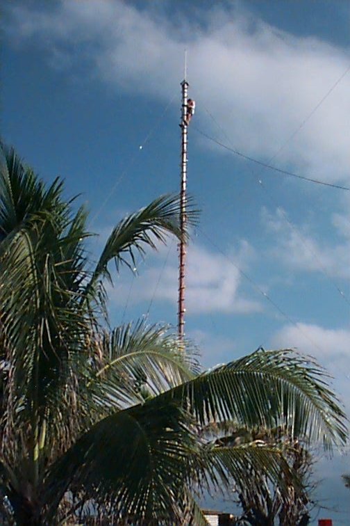 99012712.jpg (77628 bytes)