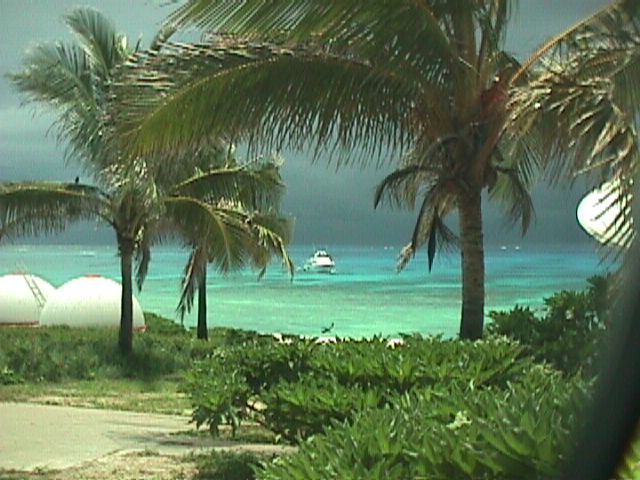 ocean8.jpg (64385 bytes)