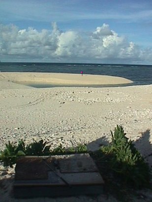 tee.jpg (28418 bytes)