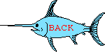 Back to Fishing Reports