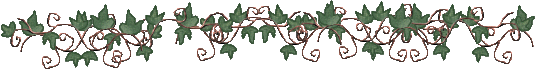 ivy