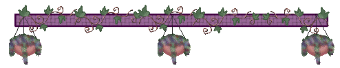 I love hanging baskets of flowers