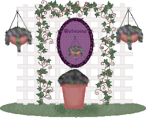 welcome to my lattice garden