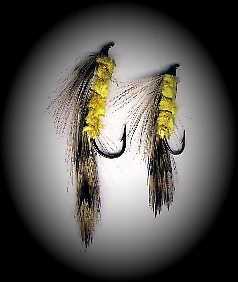 nymphe