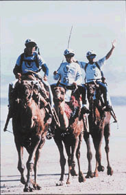 El equipo Red Bull en el EcoChallenge de Marruecos