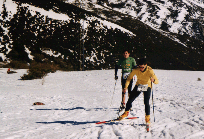 El de la derecha usa paso patinandor y el de la izq Clásico