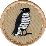 Hawk Patrol