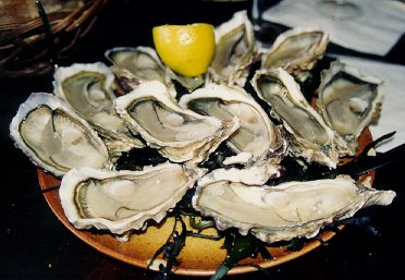 Des bonnes huîtres!