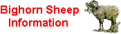 1998 Bighorn Sheep Hunting Information