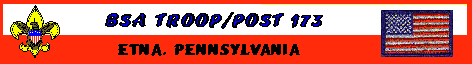 troop173.gif