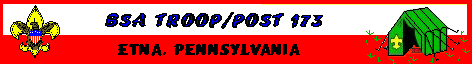 troop173banner.gif