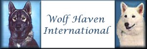 Wolf Haven